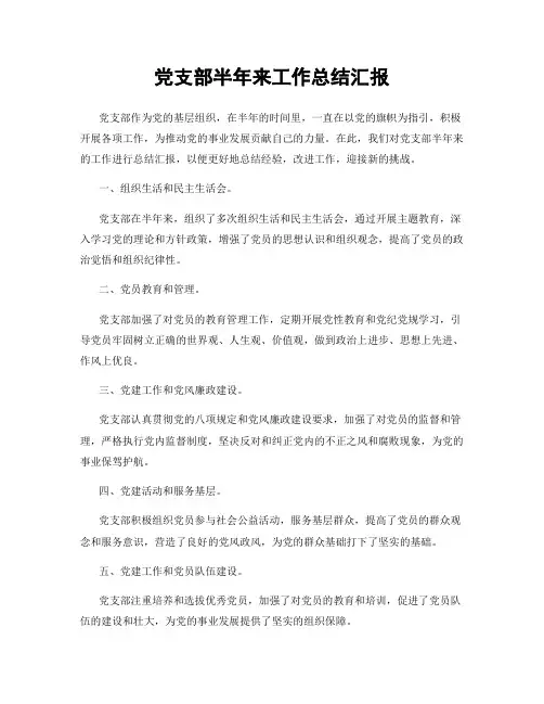 党支部半年来工作总结汇报