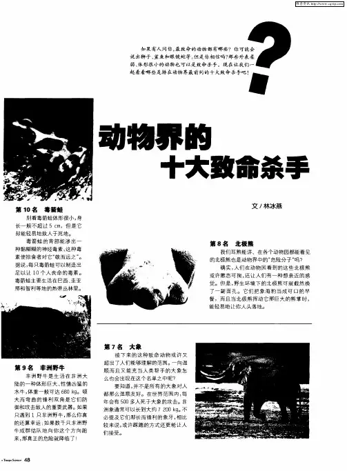 动物界的十大致命杀手