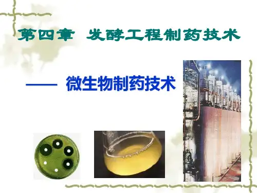 第四章-发酵工程制药技术(全)