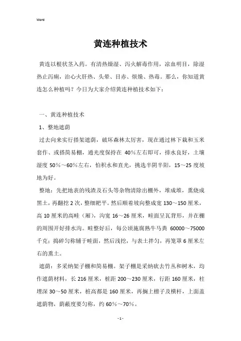 黄连种植技术