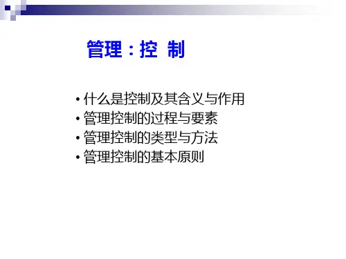 东南大学经济管理基础选修课课件  控制职能