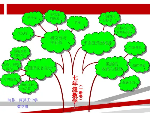 知识树图片大全(1)