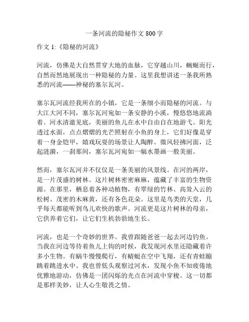 一条河流的隐秘作文800字