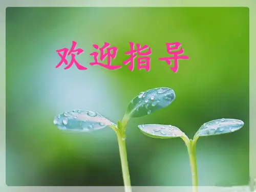 六年级上册科学-多种多样的植物-教科版(共40张)-PPT课堂课件