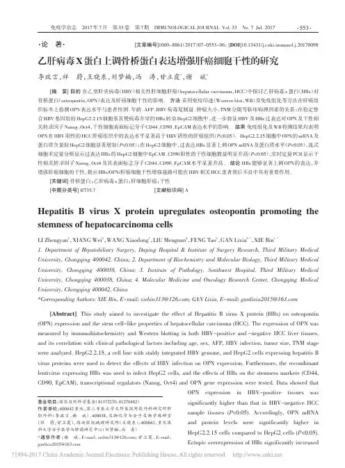 乙肝病毒X蛋白上调骨桥蛋白表达增强肝癌细胞干性的研究