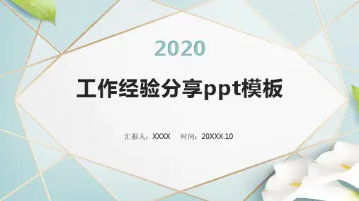 工作经验分享ppt模板
