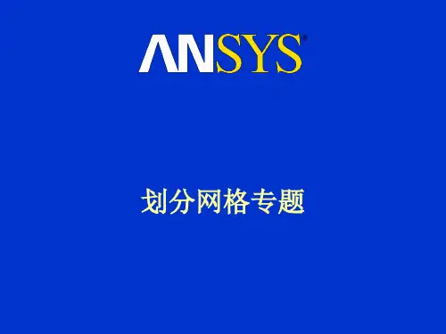 ansys如何划分网格