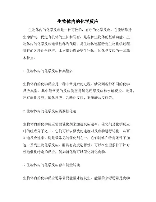生物体内的化学反应