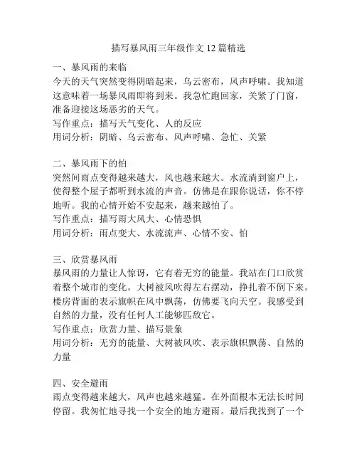 描写暴风雨三年级作文12篇精选