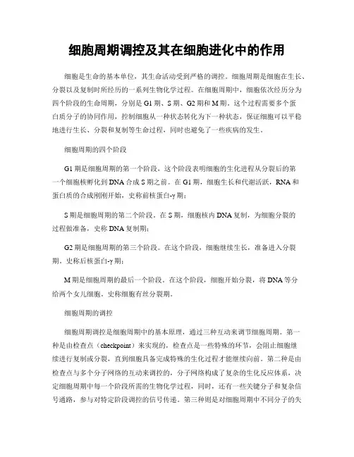 细胞周期调控及其在细胞进化中的作用