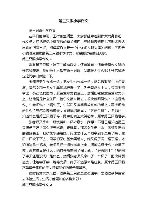 第三只眼小学作文