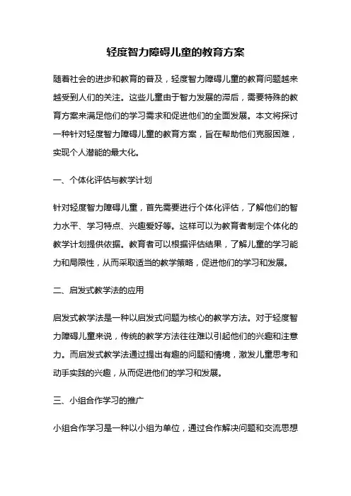 轻度智力障碍儿童的教育方案