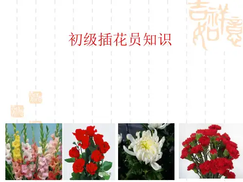 插花员初级培训