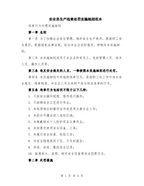 安全员生产违章处罚实施细则范本