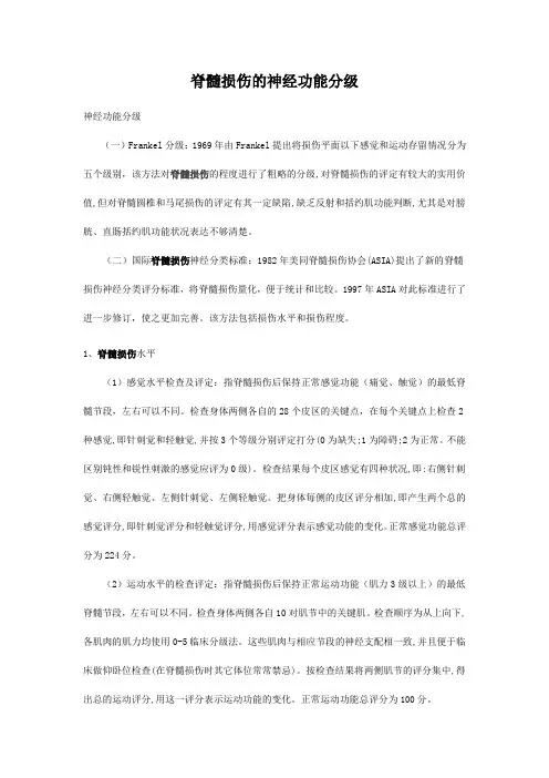 脊髓损伤分型