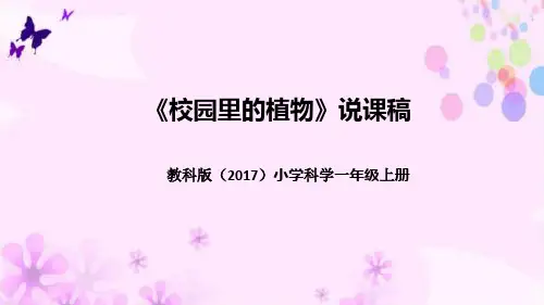 教科版(2017版)科学一年上册《校园里的植物》说课稿(附反思、板书)课件