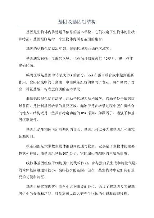 基因及基因组结构