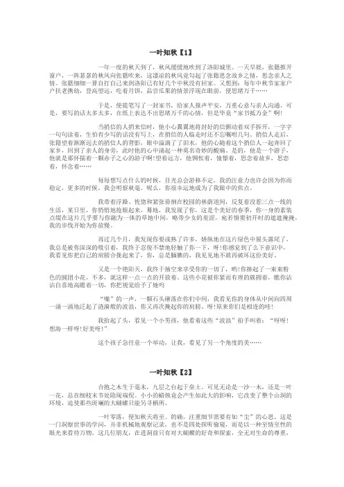 一叶知秋作文
