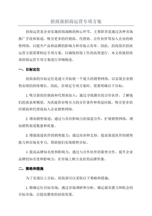招商部招商运营专项方案