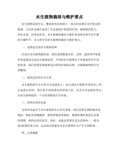 水生植物栽培与维护要点