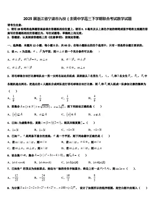 2025届浙江省宁波市九校(余姚中学高三下学期联合考试数学试题含解析
