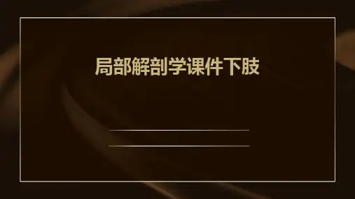 局部解剖学课件下肢