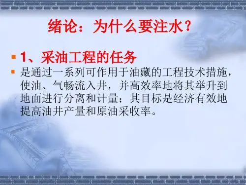 注水工艺流程方案课件