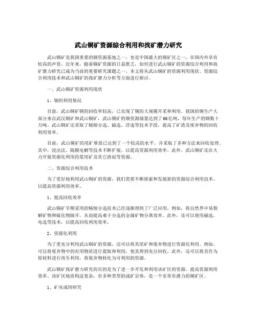 武山铜矿资源综合利用和找矿潜力研究