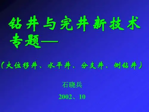 大位移井