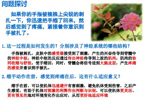 2.2 神经调节的基本方式  课件【新教材】人教版(2019)高中生物选择性必修1(34张PPT)