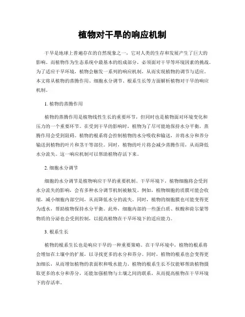 植物对干旱的响应机制