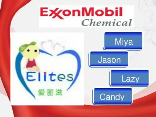 ELIETS 案例分析大赛ppt