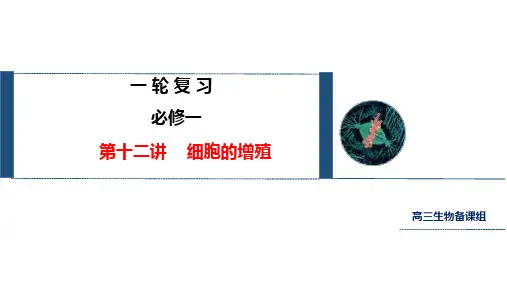 第12讲 细胞的增殖 教学课件 2025届高考生物 一轮复习新教材