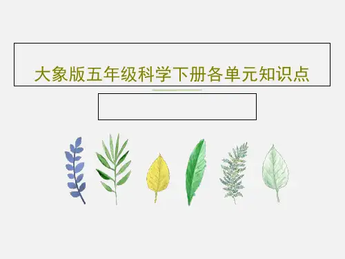 大象版五年级科学下册各单元知识点共40页