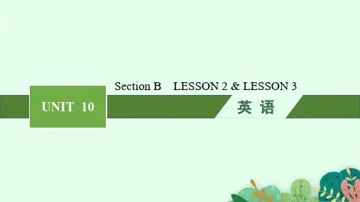 北师大版高中英语学案选择性必修四精品课件 UNIT 10 CONNECTIONS Section B
