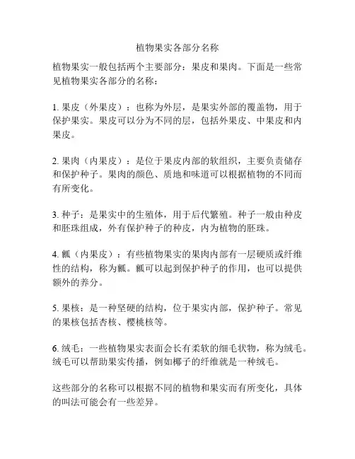 植物果实各部分名称