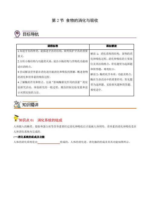 初中科学同步讲义(浙教版) 九年级上册 第4章 第2节 食物的消化与吸收(学生版)