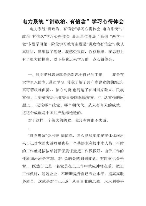 电力系统“讲政治、有信念”学习心得体会.doc