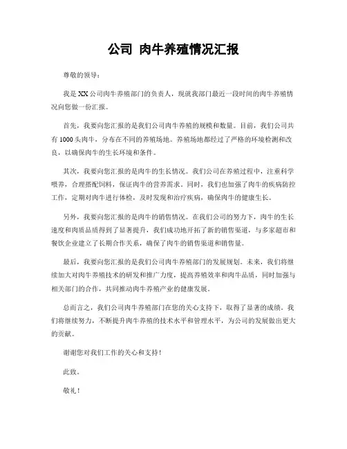 公司 肉牛养殖情况汇报