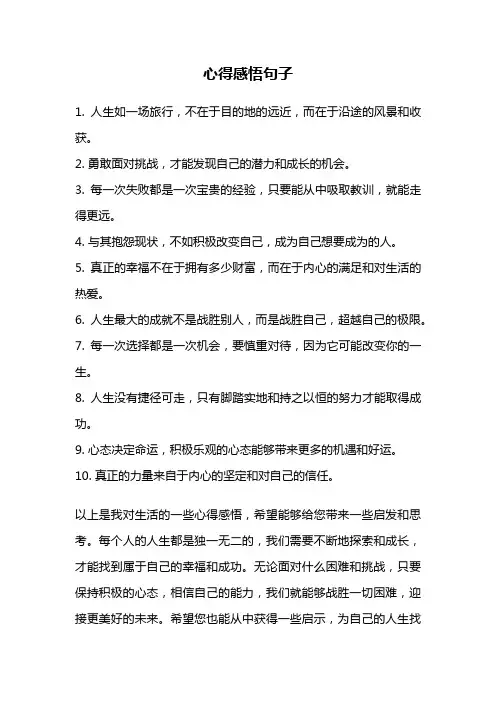 心得感悟句子