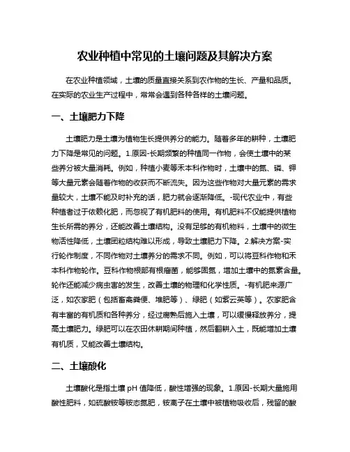 农业种植中常见的土壤问题及其解决方案