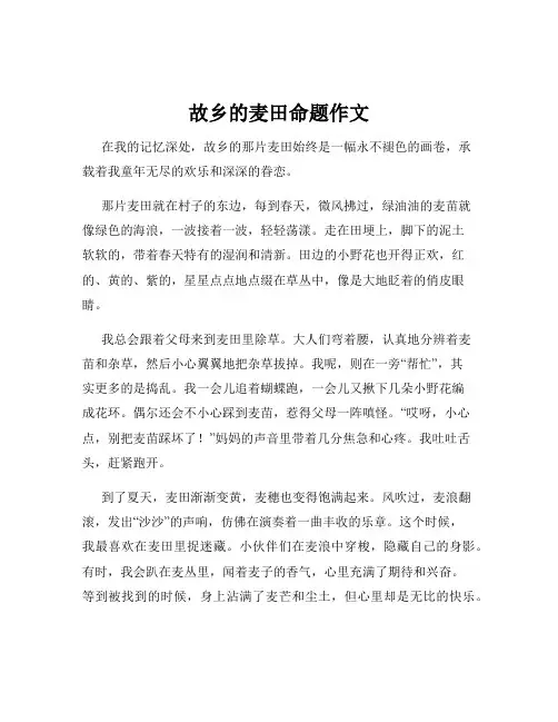 故乡的麦田命题作文