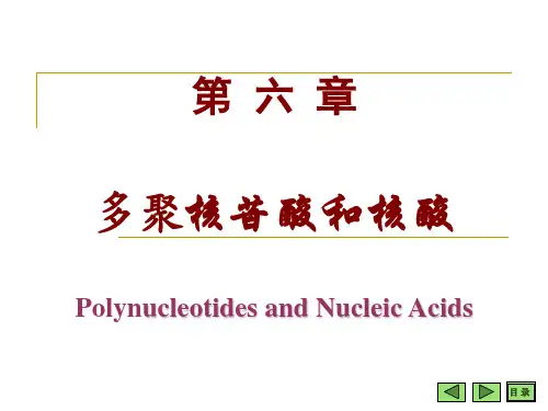 第3章 多聚核苷酸与核酸