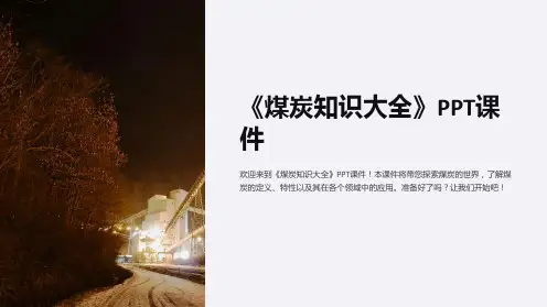 《煤炭知识大全》课件