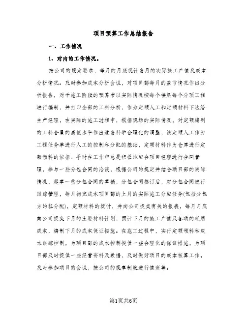 项目预算工作总结报告（2篇）