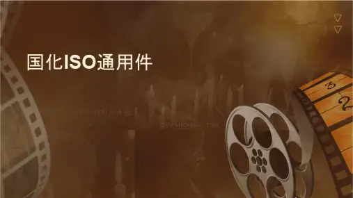 国际标准化组织ISO通用课件