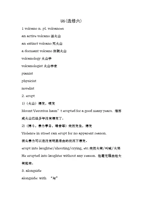 人教版英语选修六第五单元知识点