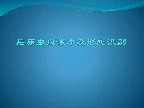 疟原虫血涂片及形态识别