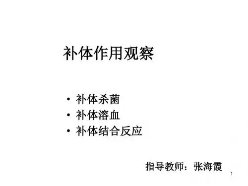 3.补体作用观察