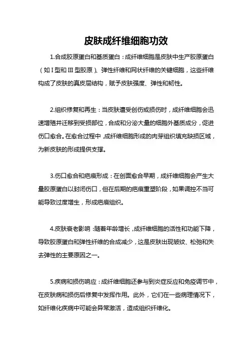 皮肤成纤维细胞功效